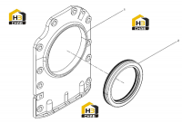 Задний сальник (часть 2)