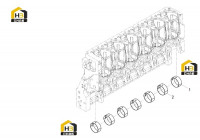 Комплект коренных вкладышей