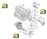 Вал распределительный и ведущая шестерня