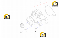 Насос водяной 60029648