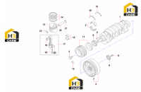 Вал коленчатый 60029667